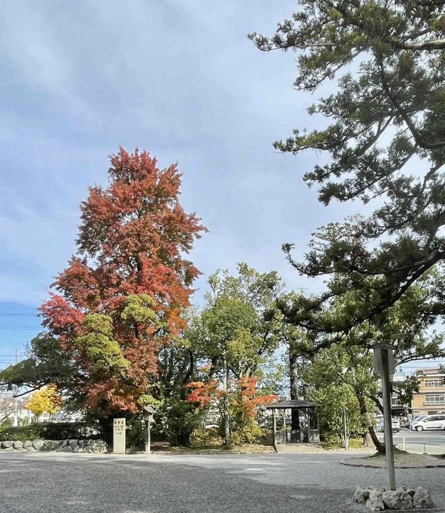 伊勢神宮外宮の紅葉