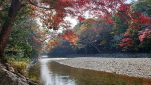伊勢神宮内宮の紅葉